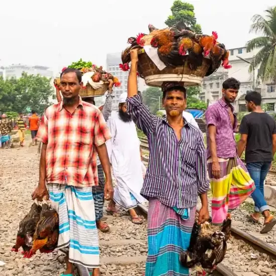 Street hawker selling chickens in Dhaka