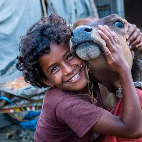 emotional moment of a little girl with her pet cow in Bangladesh