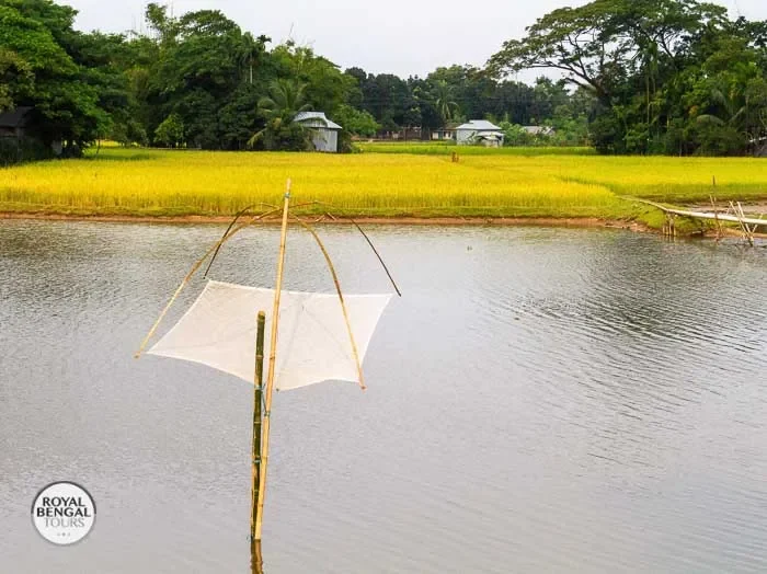 Tourist enjoys a traditional fishing experience on a Bangladeshi village homestay