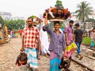 Street hawker selling chickens in Dhaka