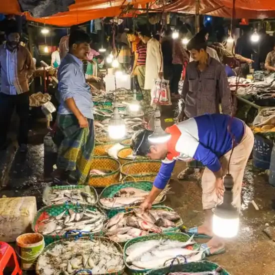 Evening fish market near shipbreaking yards