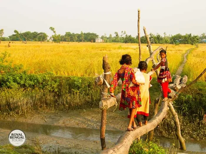 Tourists explore the scenic countryside on a day trip from their homestay in southern Bangladesh
