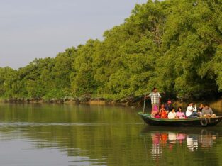 Exploring the narrow creek of Sundarban by a rowboat is a lifetime experience