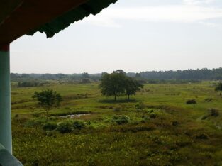 most beautiful landscape of Sundarban wildlife sanctuary