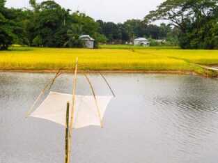 Most beautiful fishing and agricultural village in Bangladesh for homestay experience