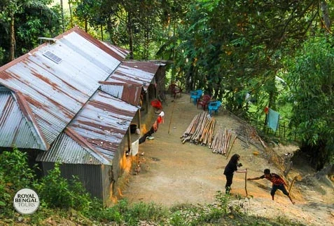 Bangladesh Homestay Experience: Traditional Local House
