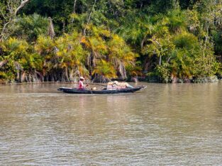 Crab catcher's life inside of the sundarban forest