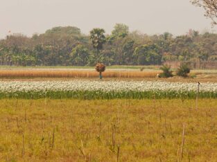 Handpicked village and family for homestay in Bangladesh