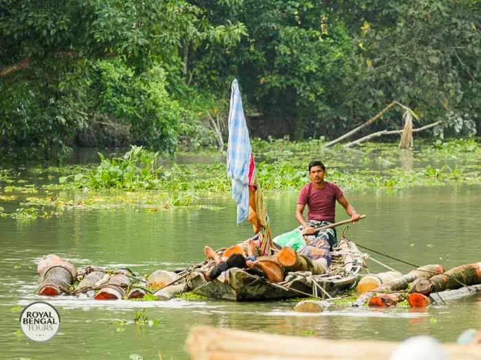 traditional Bengali boat carrying logs on a river in Barisal, Bangladesh