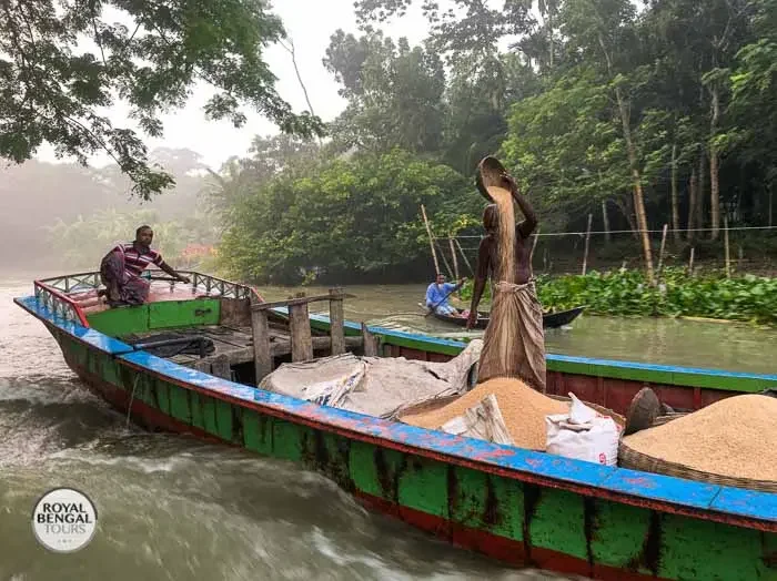 farmer on a small boat piled with sacks of rice, traveling on a canal in Barisal