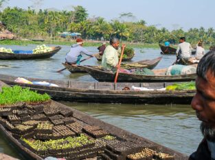 Early morning floating vegetable market in Barisal
