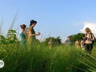 Ecotourism-in-Bangladesh sundarban