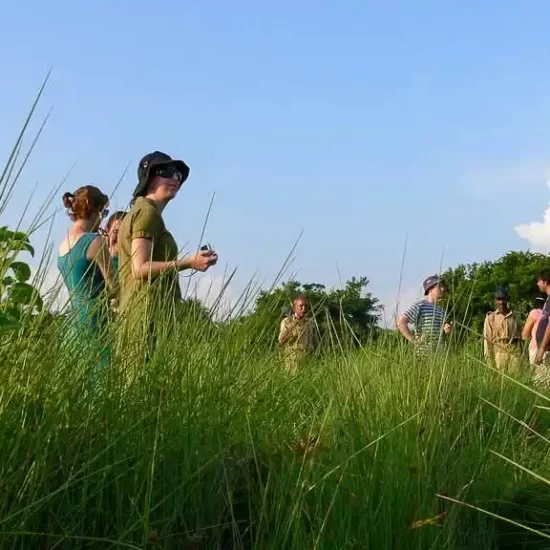 Ecotourism in Bangladesh sundarban
