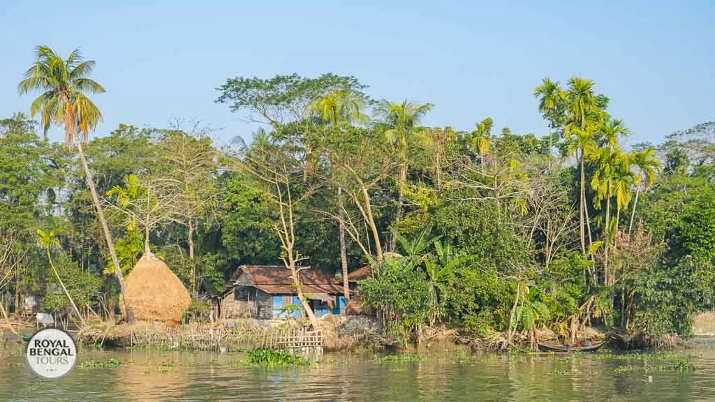 View of rural village life from a boat during a backwater cruise in Barisal