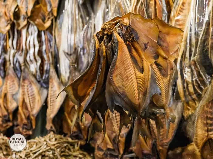 Cox's Bazar evening dry fish market with rows of fish on display