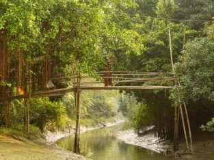 you will often see a Bamboo bridge on the rivers in Barisal