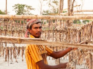 Southern part of Bangladesh produces and export a huge number of best quality dry fish every year