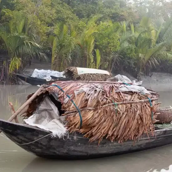 Fishing in the deep of sundarban forest is at risk