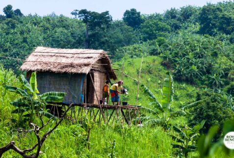 Temporary jhum agriculture house in Chittagong Hill Tracts