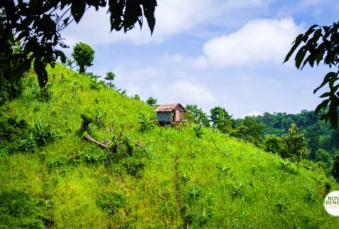 Adventurous Hiking trip to Chittagong hill tract with western tourists