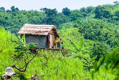 Tribal jhum house amidst the lush greenery of the Chittagong Hill Tracts