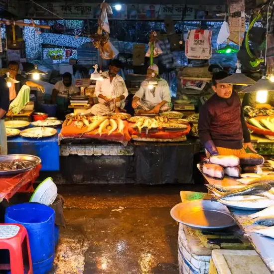 Visiting a mish market in Kawran Bazar during old dhaka trip