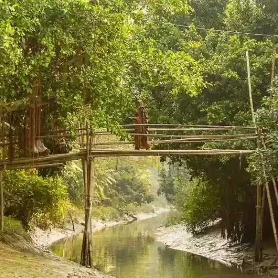 You have never seen such a bamboo bridge