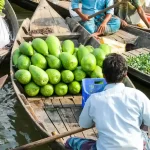 backwater trip and canal cruise in Bangladesh