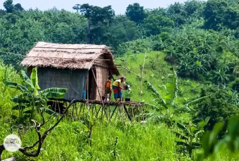 seasonal jhum house for agriculture in Chittagong Hill Tracts