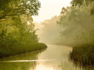 Beautiful creek of nijhum dwip mangrove forest