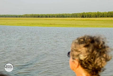 Finding tranquility in the heart of nature