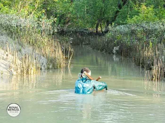 Man is fishing deep inside the lush mangroves of Nijhum Dwip
