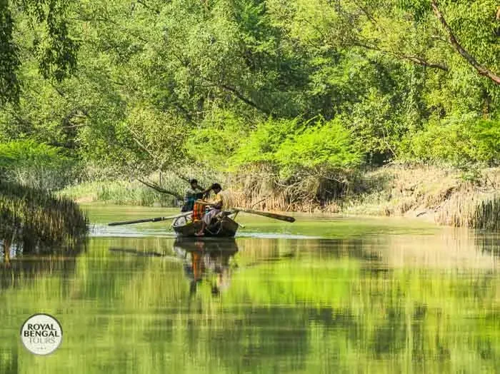 Tranquil journey through the emerald waters of Nijhum Dwip