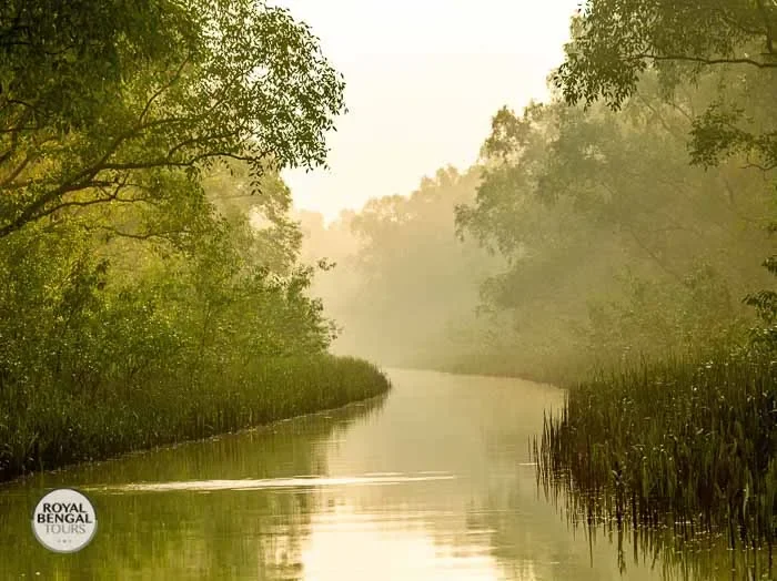 creek of nijhum dwip mangrove forest