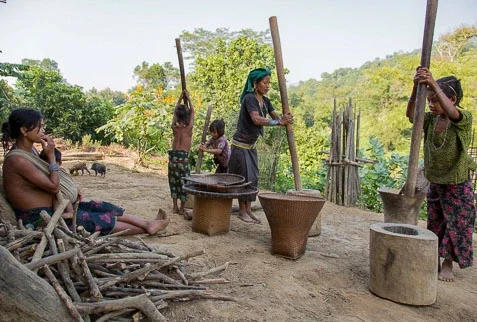 Mro tribal ladie are husking rice in a primitive way