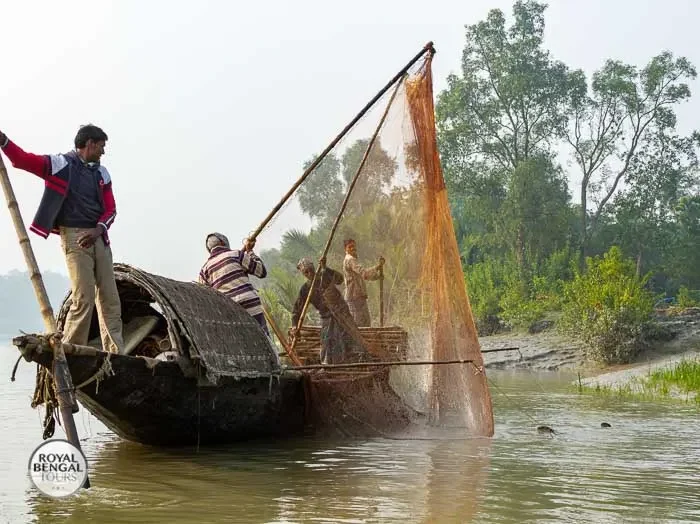 Otter fishermen risks their life for fishing inside sundarban forest