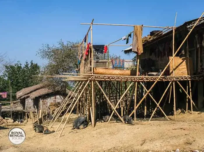 Traditional tribal livelyhood in remote area of Chittagong Hill tracts