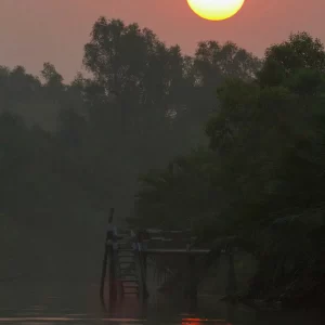 Dhaka and Sundarbans trip