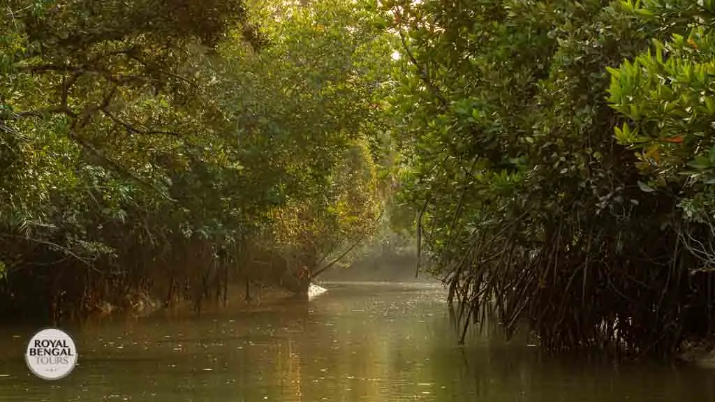 Sundarbans mangrove forest, a UNESCO World Heritage Site in Bangladesh