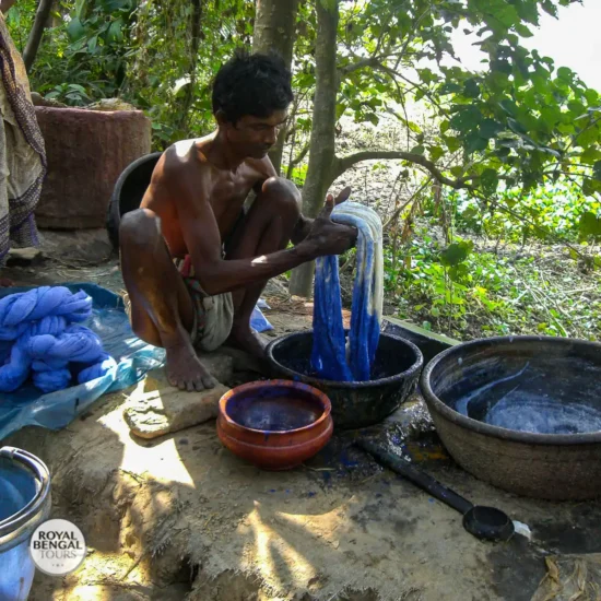 royal bengal tours indigo dyeing tangail saree