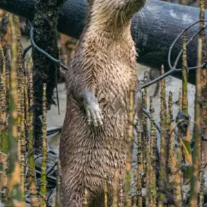 Day trip to Otter fishing village